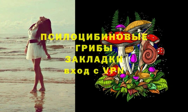 тгк Богданович